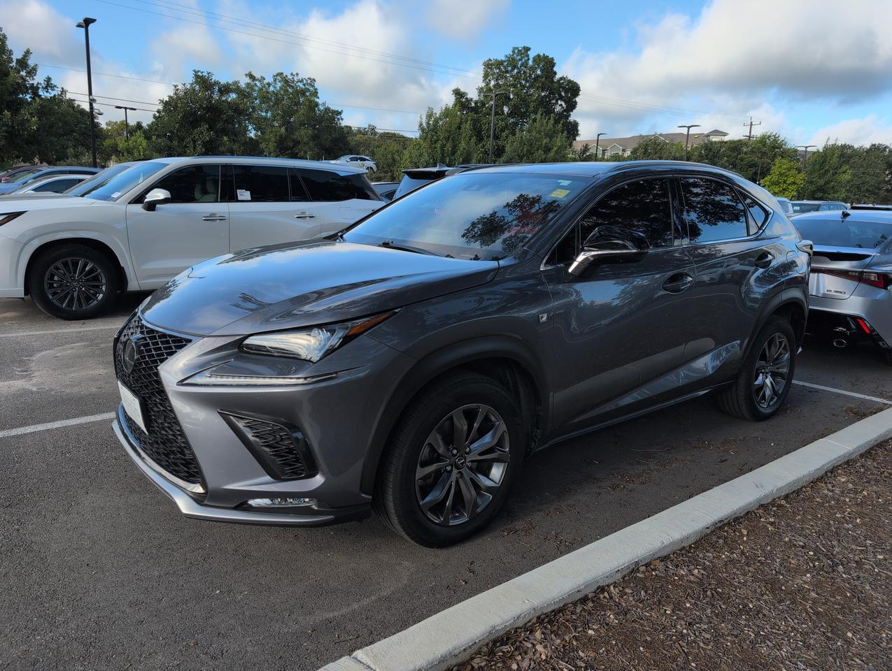 2020 Lexus NX 300 F SPORT