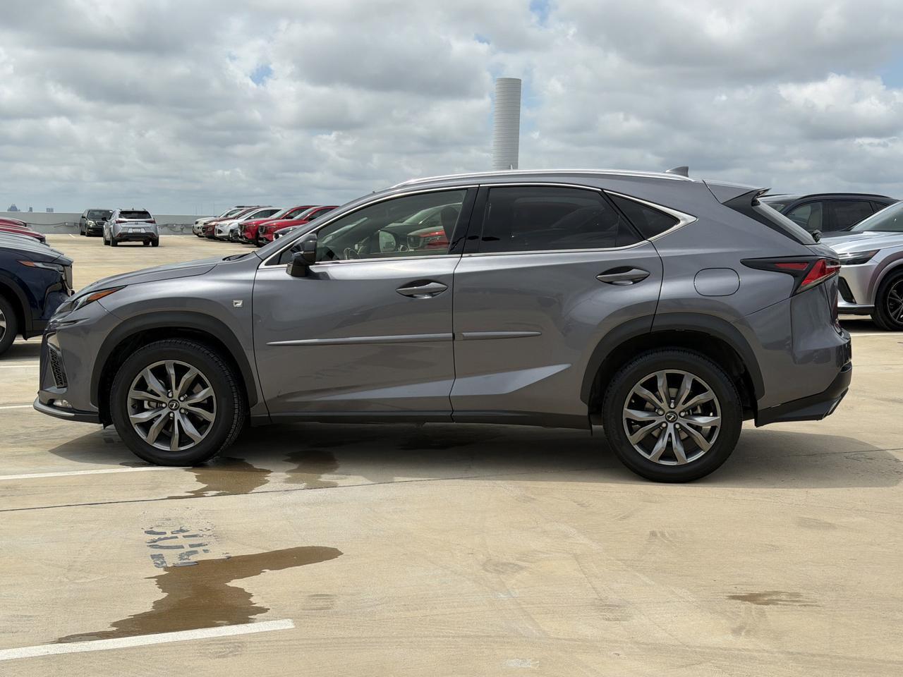 2020 Lexus NX 300 F SPORT