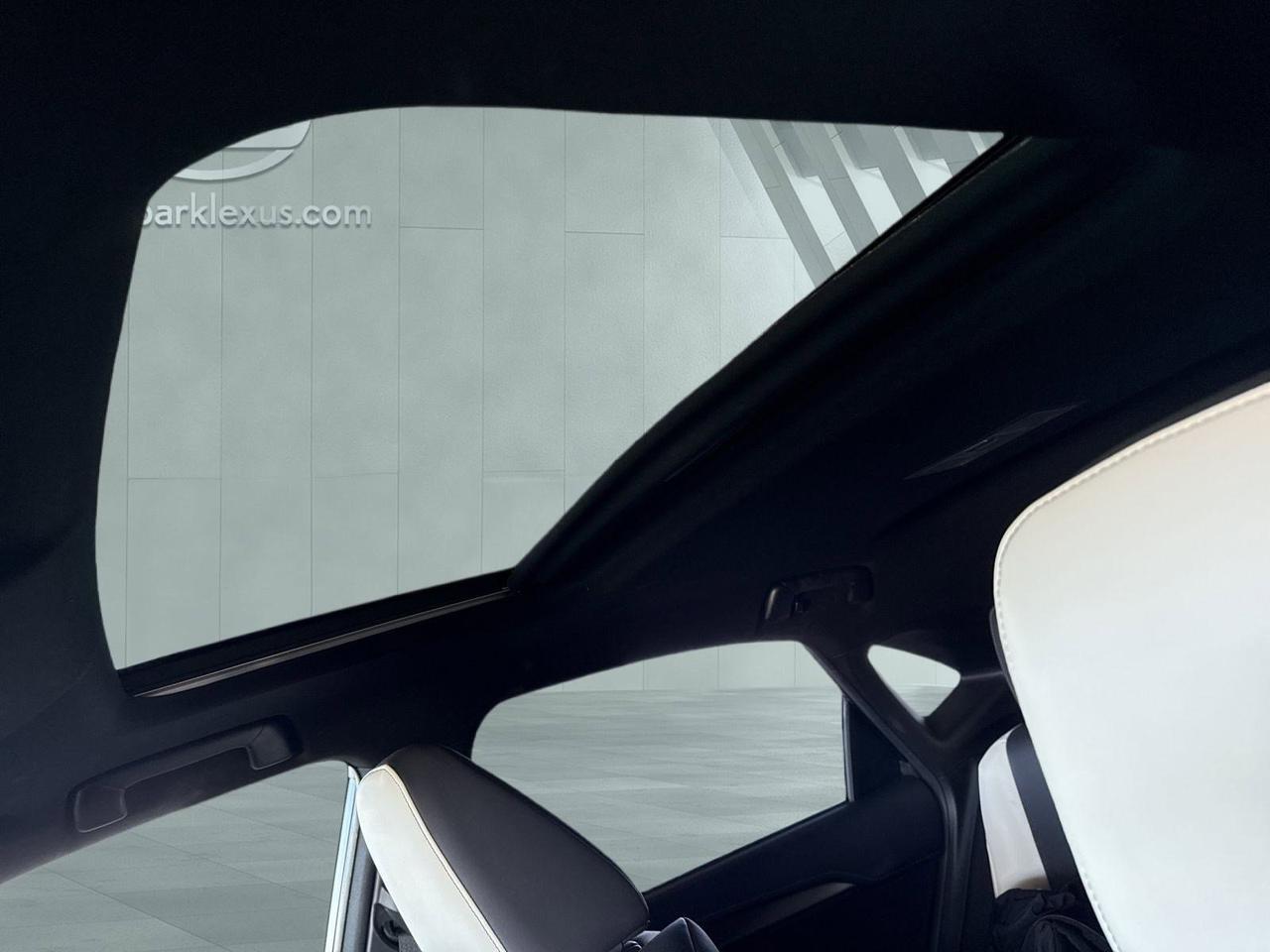 2020 Lexus NX 300 F SPORT San Antonio TX