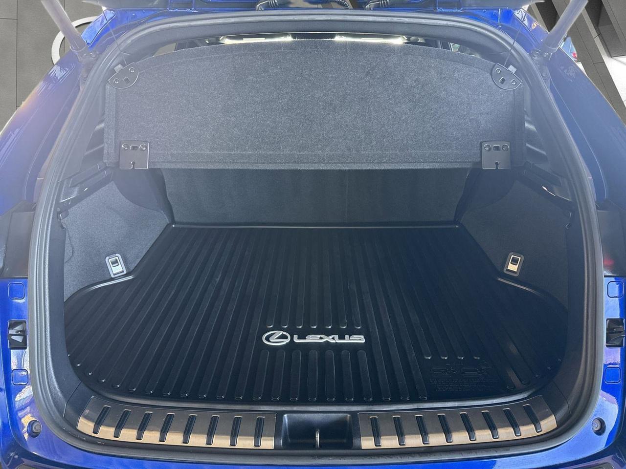 2020 Lexus NX 300 F SPORT San Antonio TX