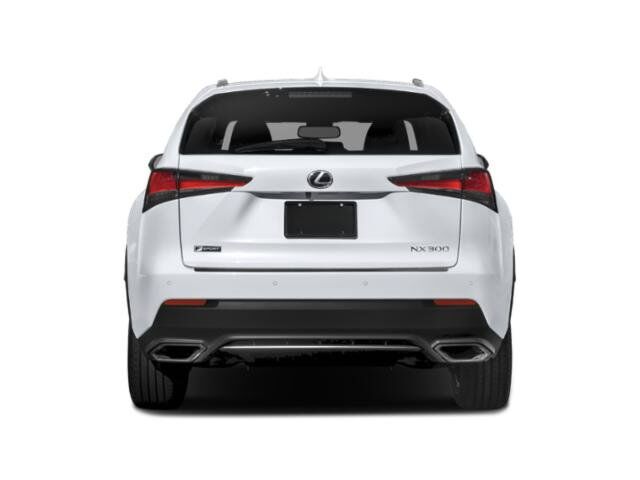 2020 Lexus NX 300 F SPORT Winder GA