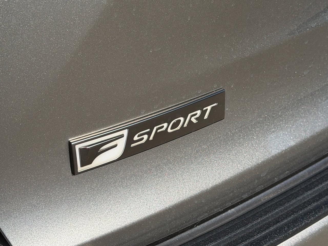 2020 Lexus NX 300 F Sport Richardson TX