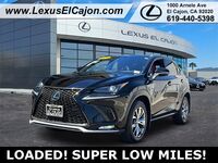 2020 Lexus NX 300 F Sport