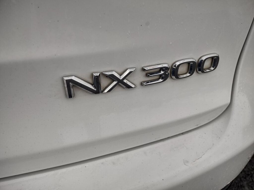 2020 Lexus NX 300 F Sport Richmond VA