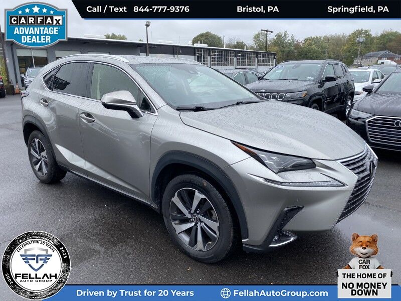 2020 Lexus NX 300 Luxury