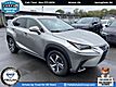 2020 Lexus NX 300 Luxury