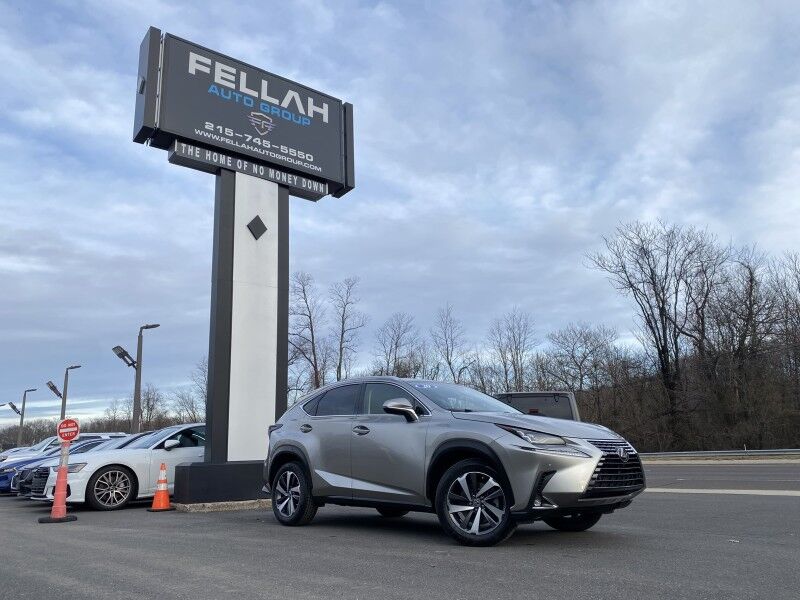 2020 Lexus NX 300 Luxury Springfield PA