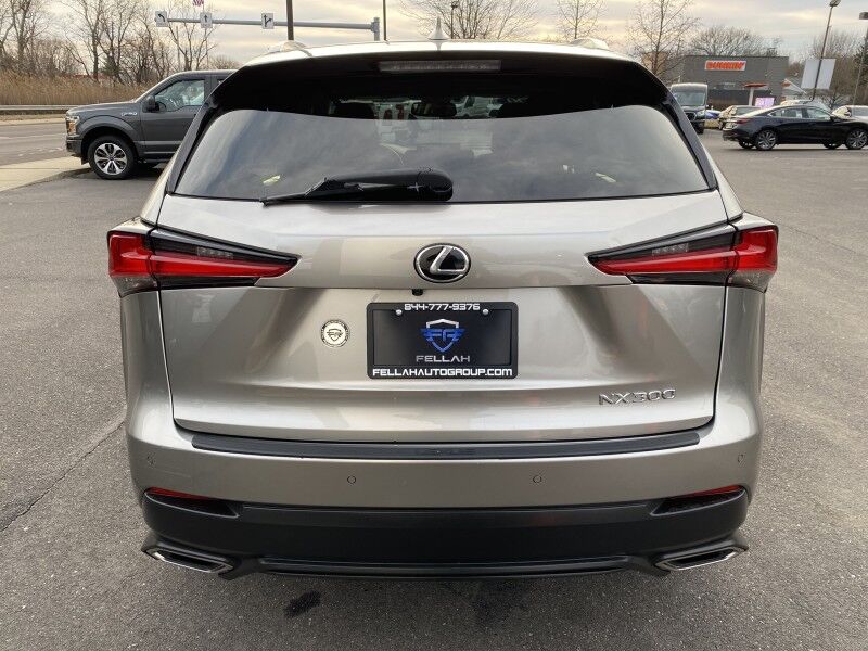 2020 Lexus NX 300 Luxury Springfield PA