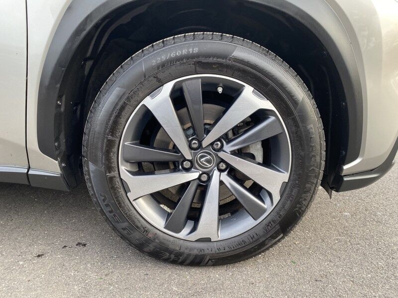 2020 Lexus NX 300 Luxury Springfield PA