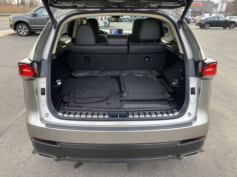 2020 Lexus NX 300 Luxury Springfield PA