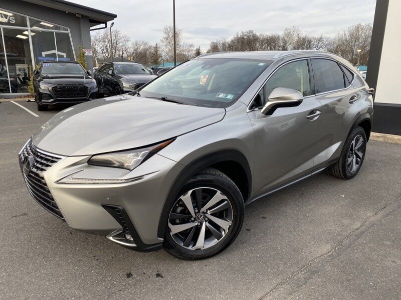 2020 Lexus NX 300 Luxury Springfield PA