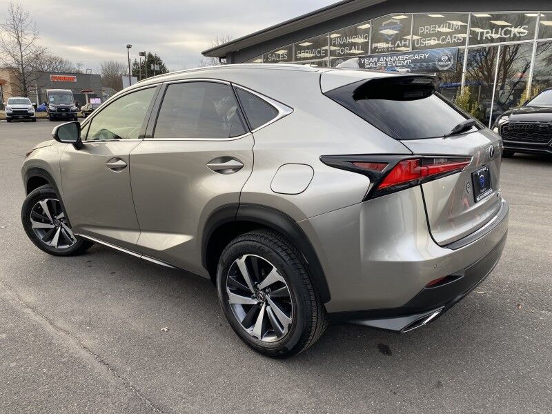 2020 Lexus NX 300 Luxury Springfield PA