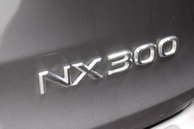 2020 Lexus NX 300 Luxury Chantilly VA