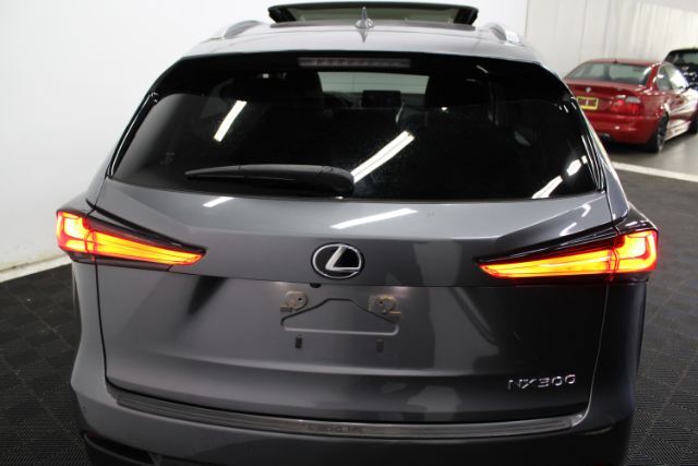 2020 Lexus NX 300 Luxury Chantilly VA