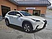 2020 Lexus NX 300 Luxury