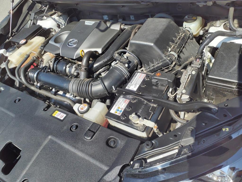 2020 Lexus NX 300 Luxury Roanoke VA