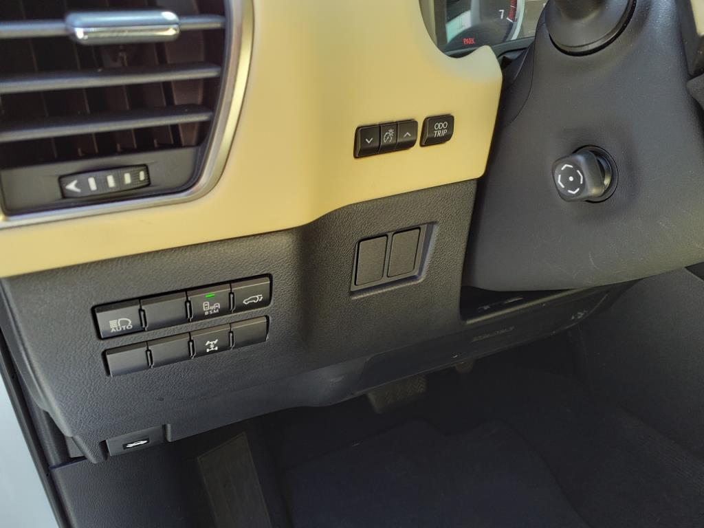 2020 Lexus NX 300 Luxury Roanoke VA