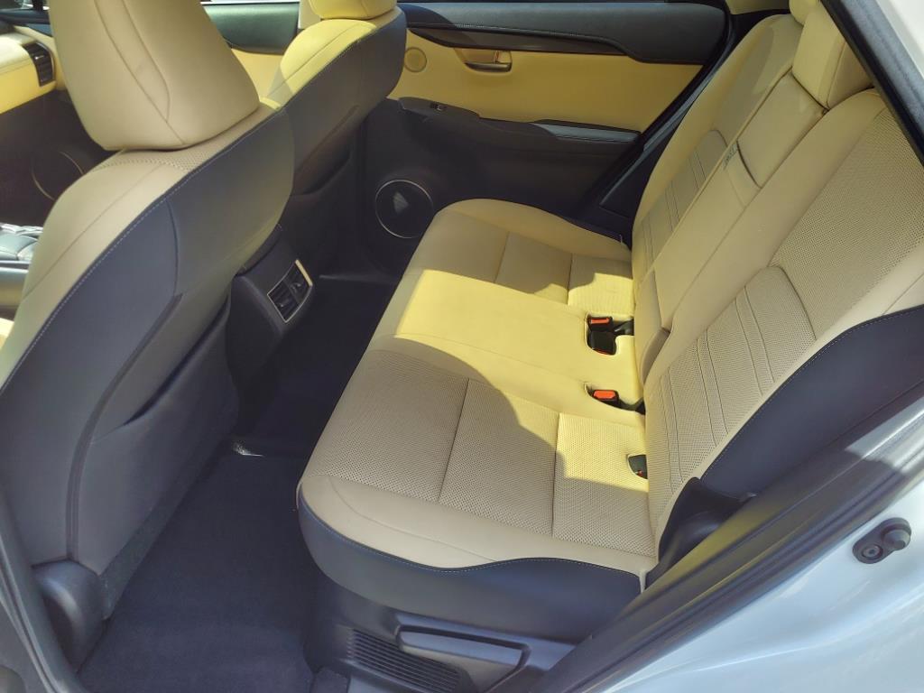 2020 Lexus NX 300 Luxury Roanoke VA