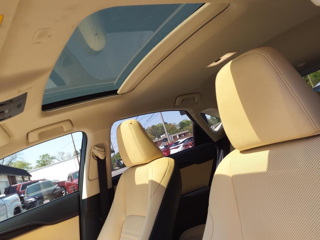 2020 Lexus NX 300 Luxury Roanoke VA