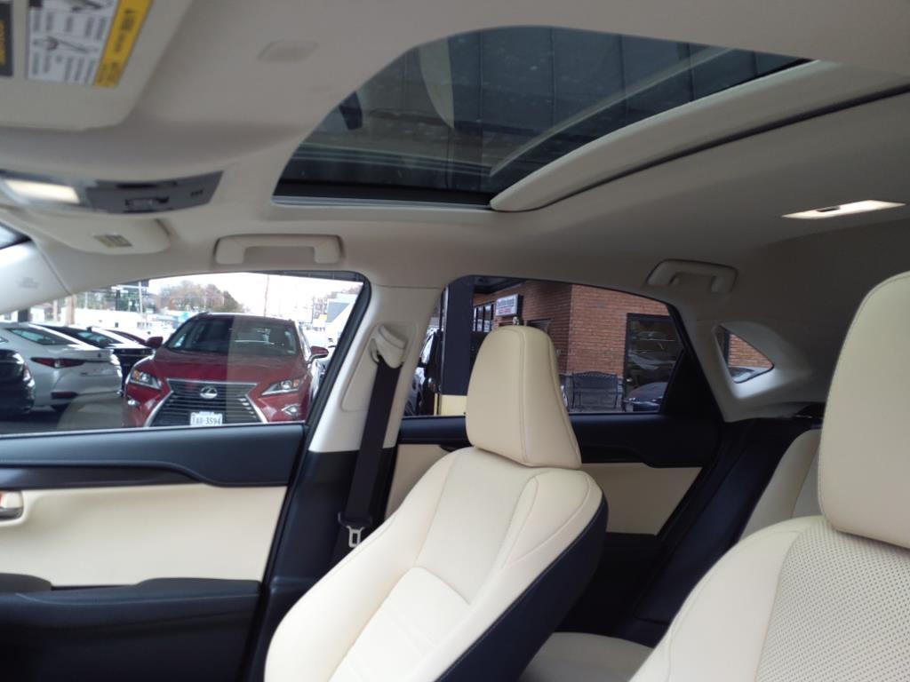 2020 Lexus NX 300 Luxury Roanoke VA