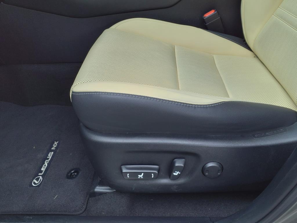 2020 Lexus NX 300 Luxury Roanoke VA