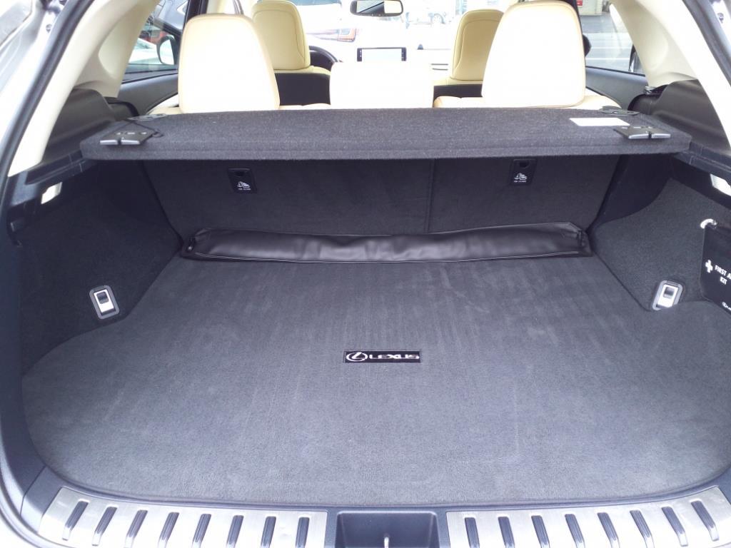 2020 Lexus NX 300 Luxury Roanoke VA