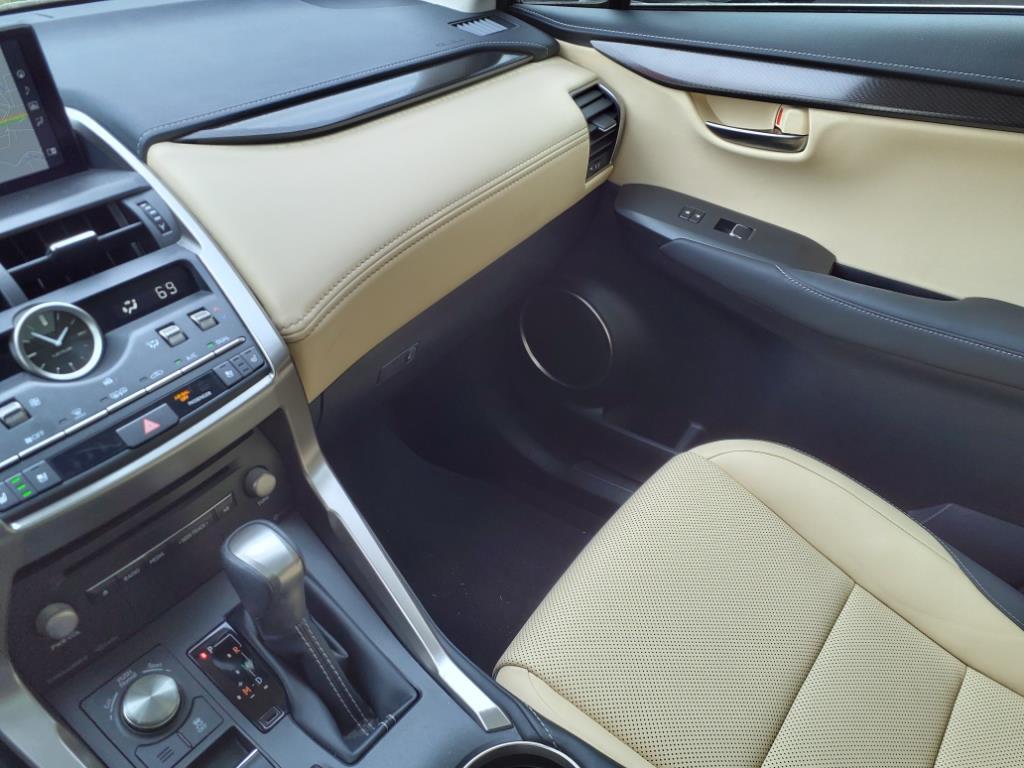 2020 Lexus NX 300 Luxury Roanoke VA