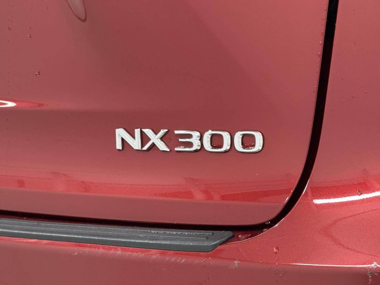 2020 Lexus NX 300 Newark DE