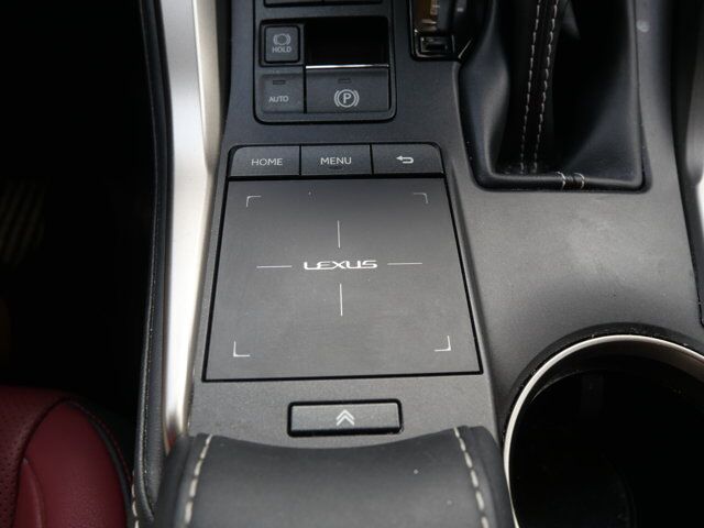 2020 Lexus NX 300 San Juan TX
