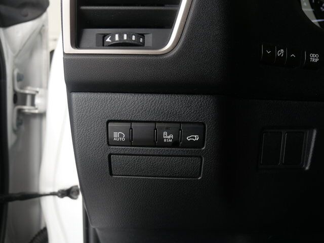 2020 Lexus NX 300 San Juan TX