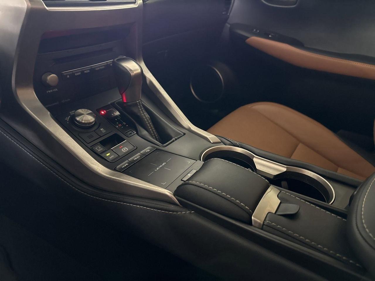 2020 Lexus NX 300 San Antonio TX