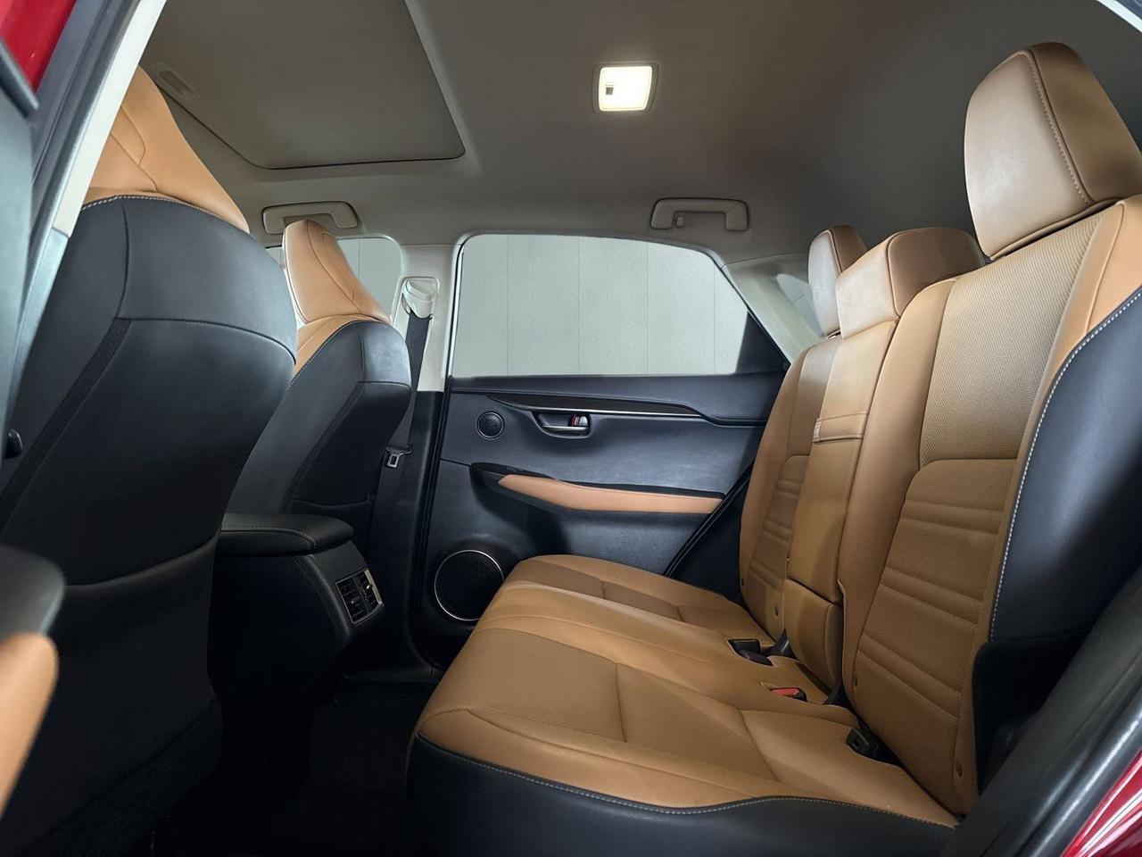 2020 Lexus NX 300 San Antonio TX