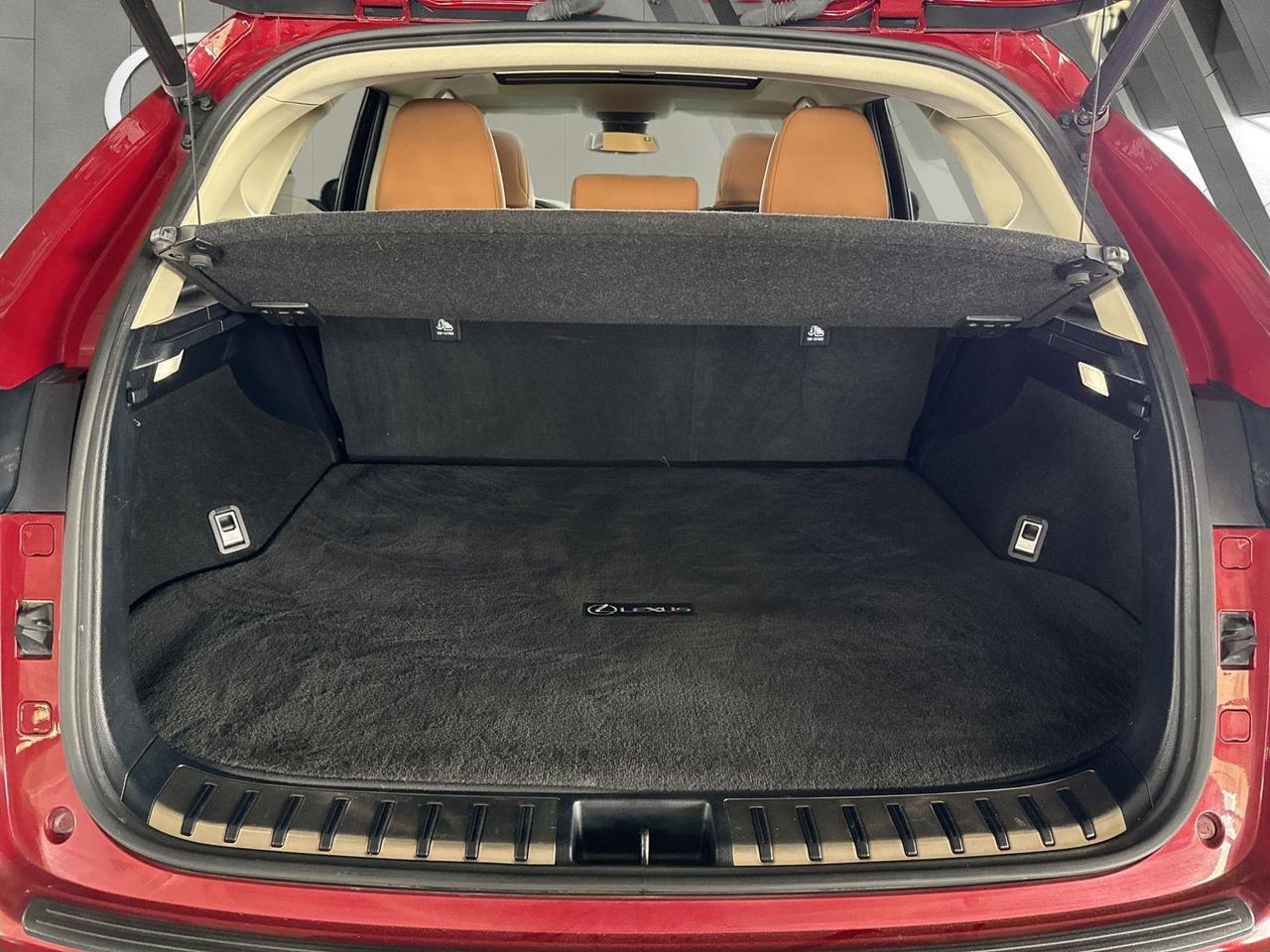 2020 Lexus NX 300 San Antonio TX