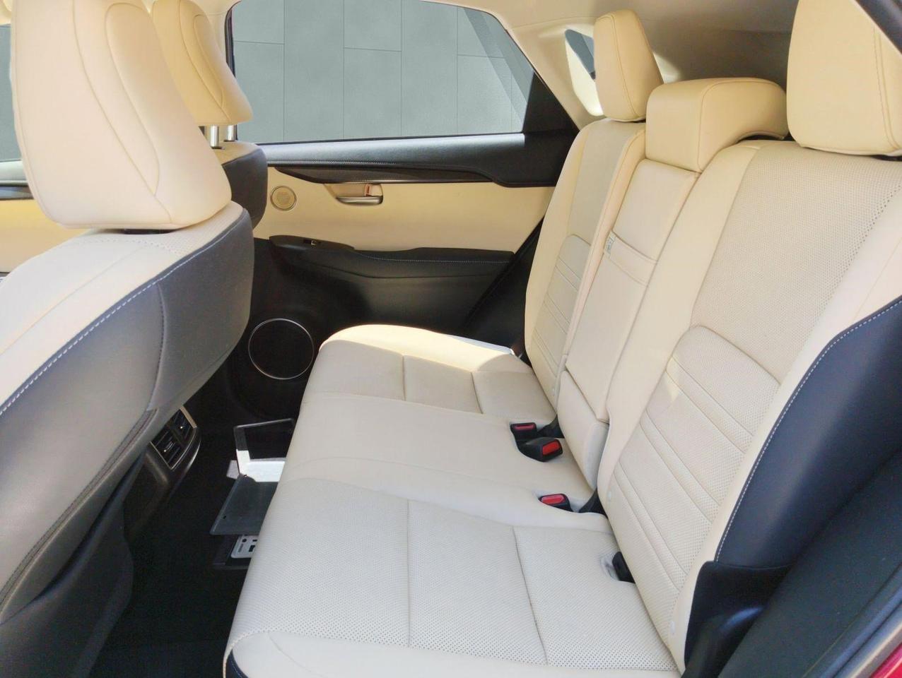 2020 Lexus NX 300 San Antonio TX