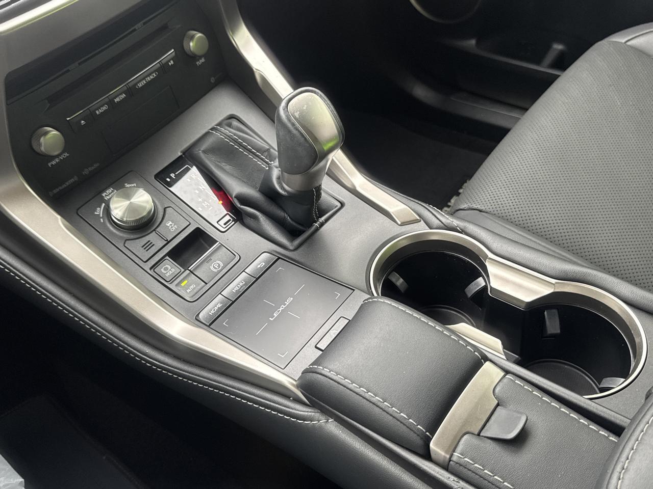2020 Lexus NX 300 San Antonio TX