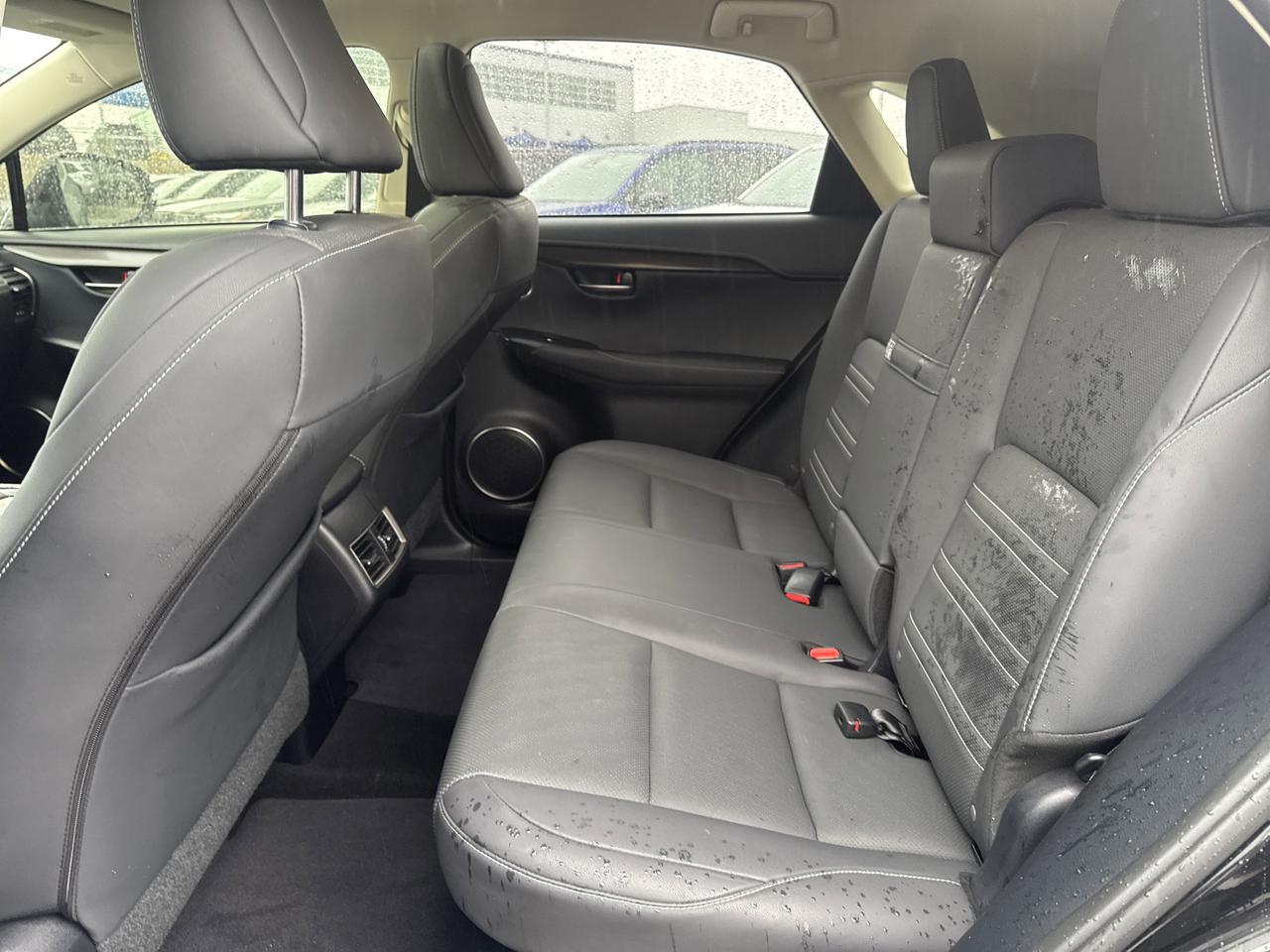 2020 Lexus NX 300 San Antonio TX
