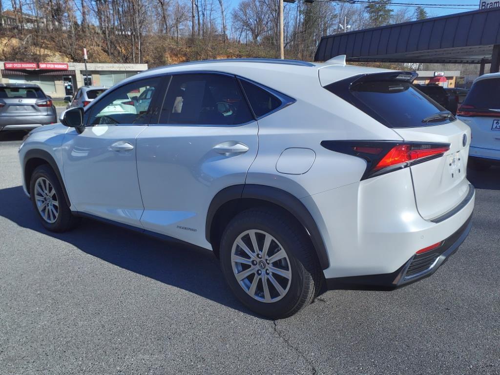 2020 Lexus NX 300h Luxury Roanoke VA