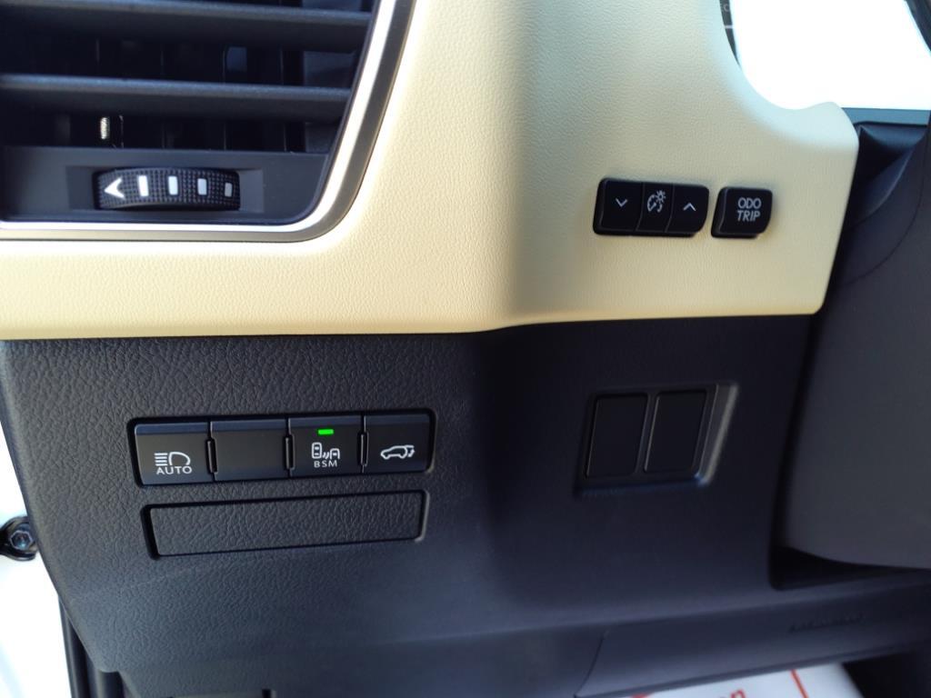 2020 Lexus NX 300h Luxury Roanoke VA