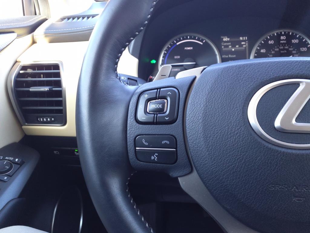 2020 Lexus NX 300h Luxury Roanoke VA