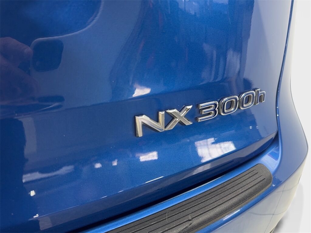 2020 Lexus NX 300h Irving TX
