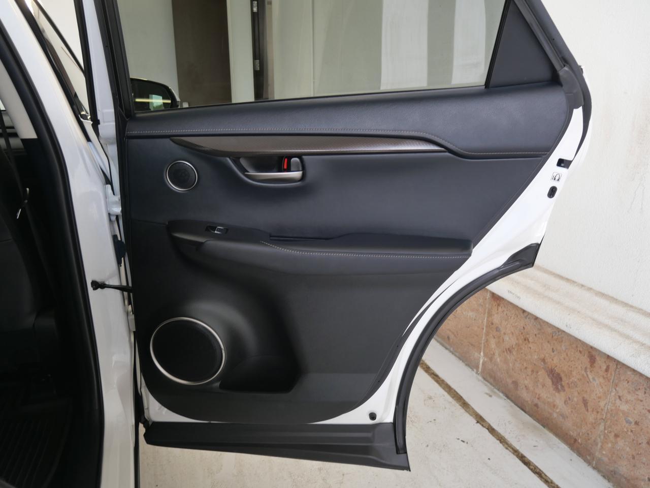 2020 Lexus NX 300h San Juan TX