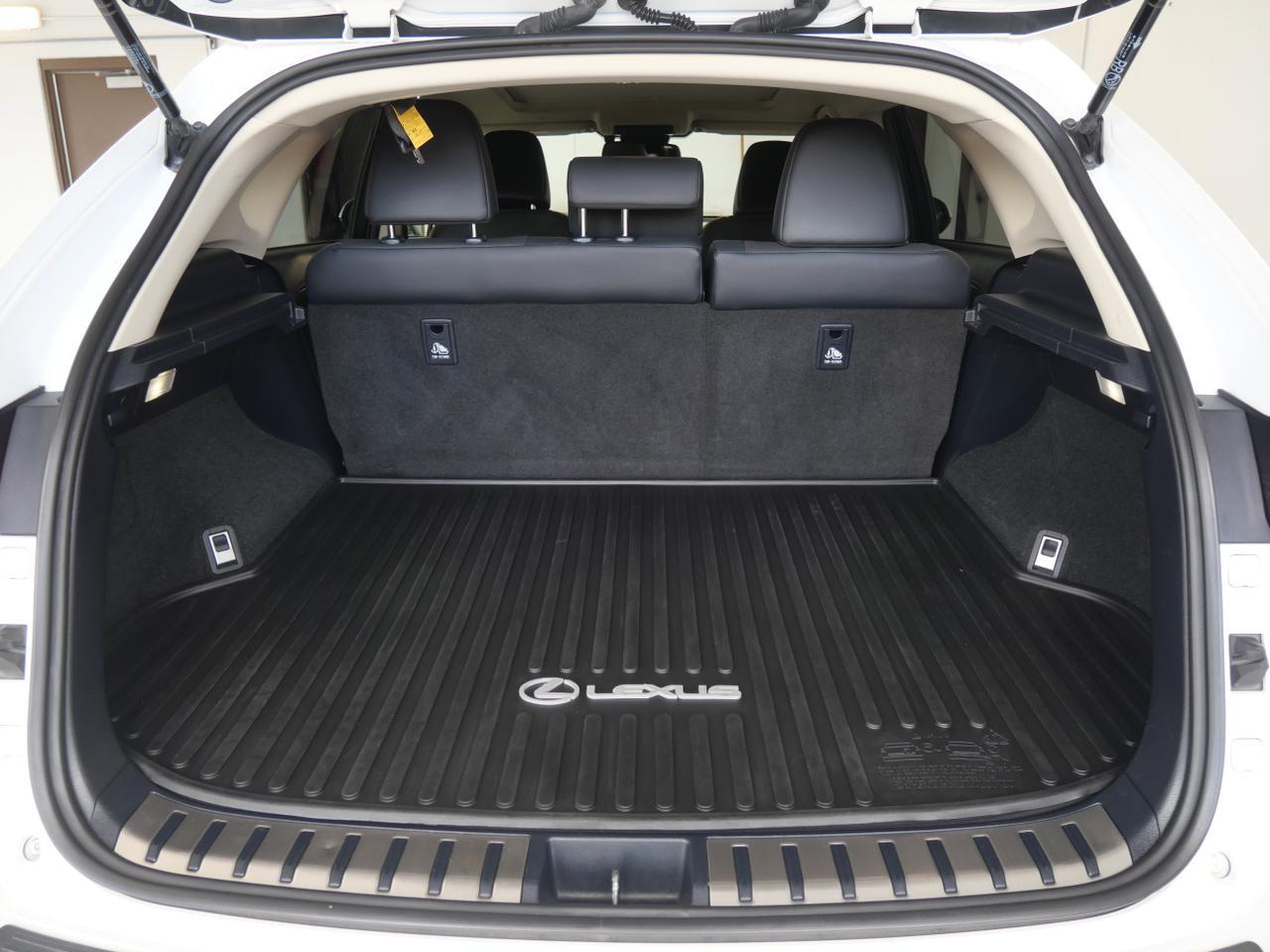 2020 Lexus NX 300h San Juan TX