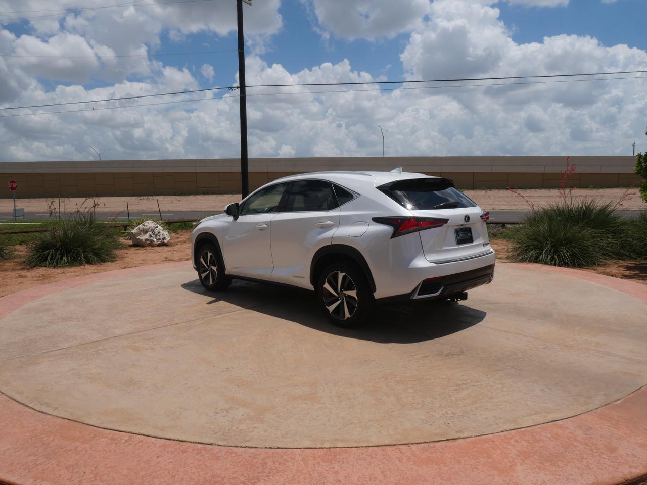 2020 Lexus NX 300h San Juan TX
