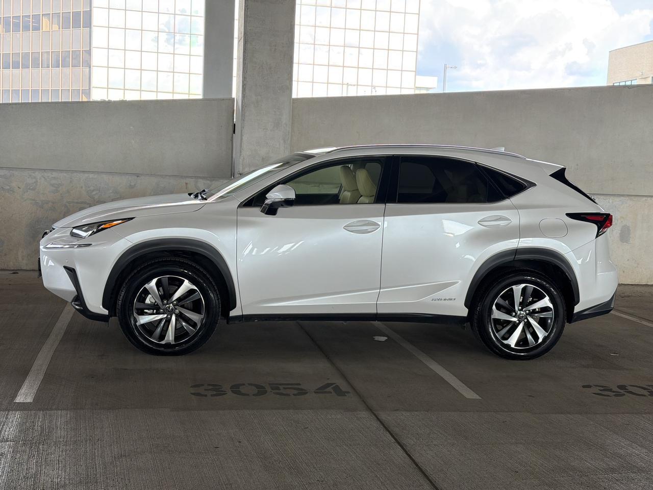 2020 Lexus NX 300h