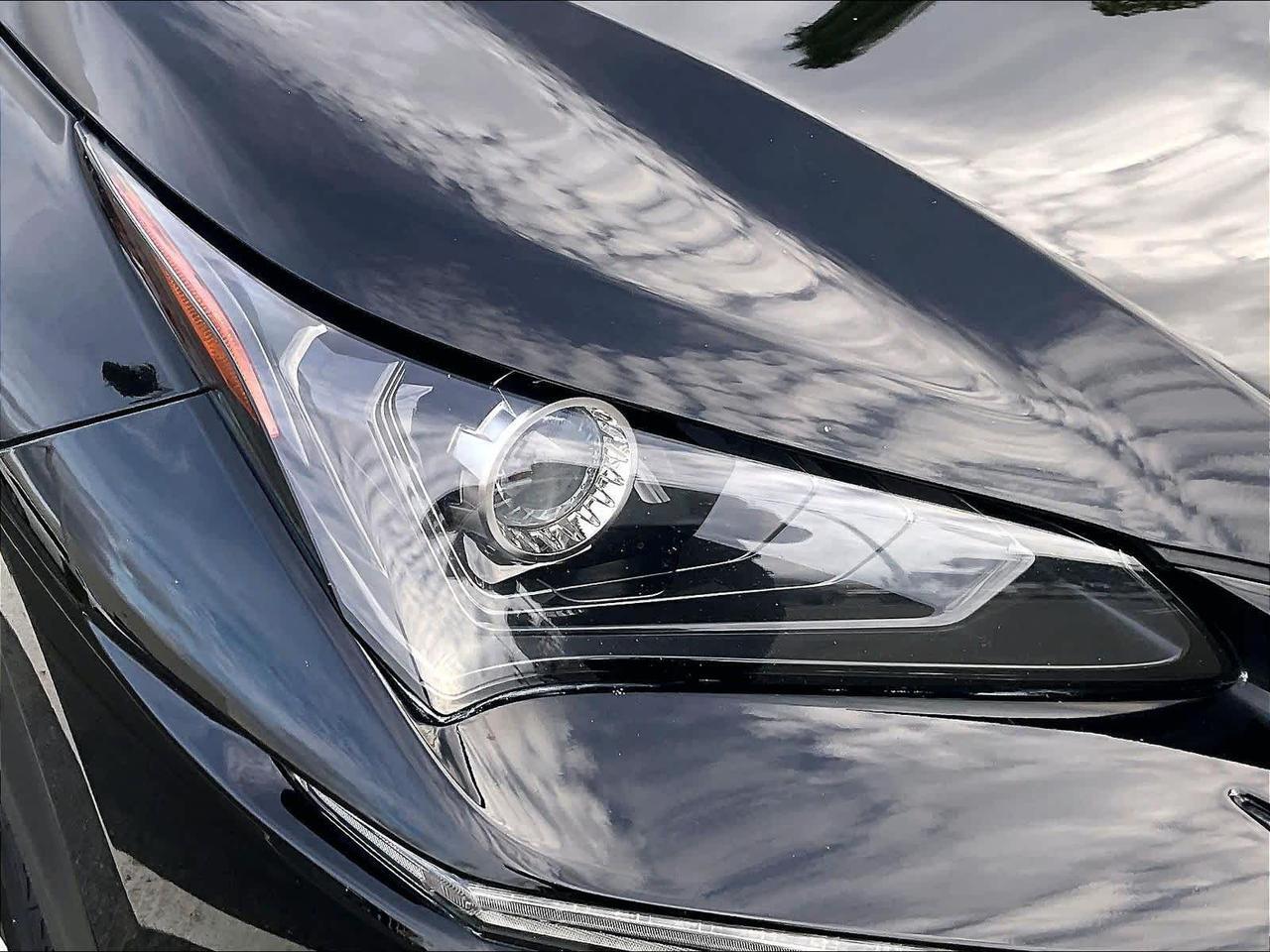 2020 Lexus NX F SPORT Roseville CA