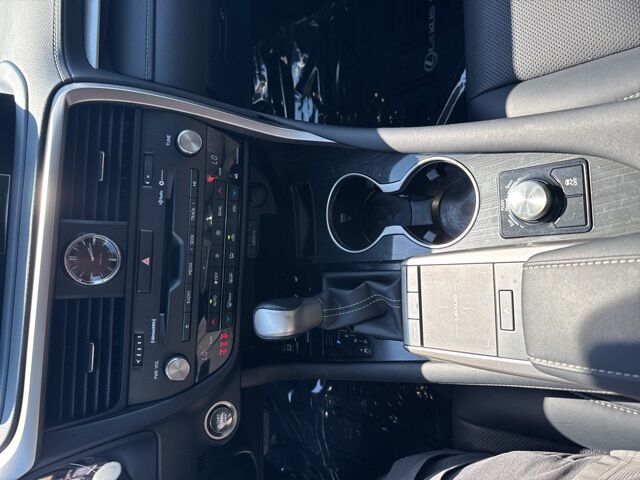 2020 Lexus RX 350  TX 2020 Lexus RX 350  TX