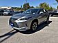 2020 Lexus RX 350  TX 2020 Lexus RX 350  TX