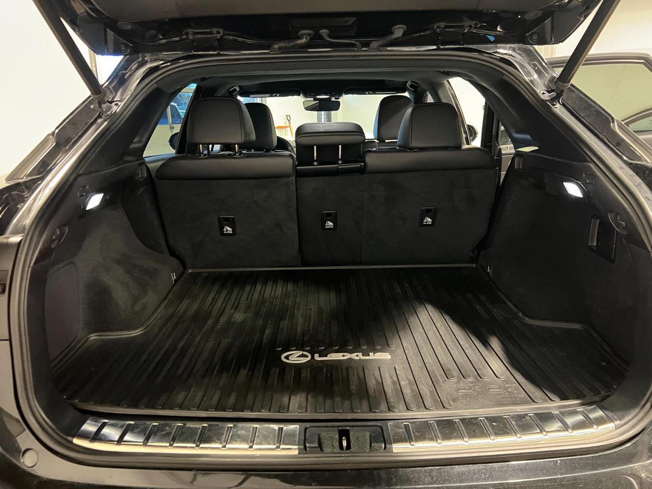 2020 Lexus RX 350 F SPORT Performance Parker CO