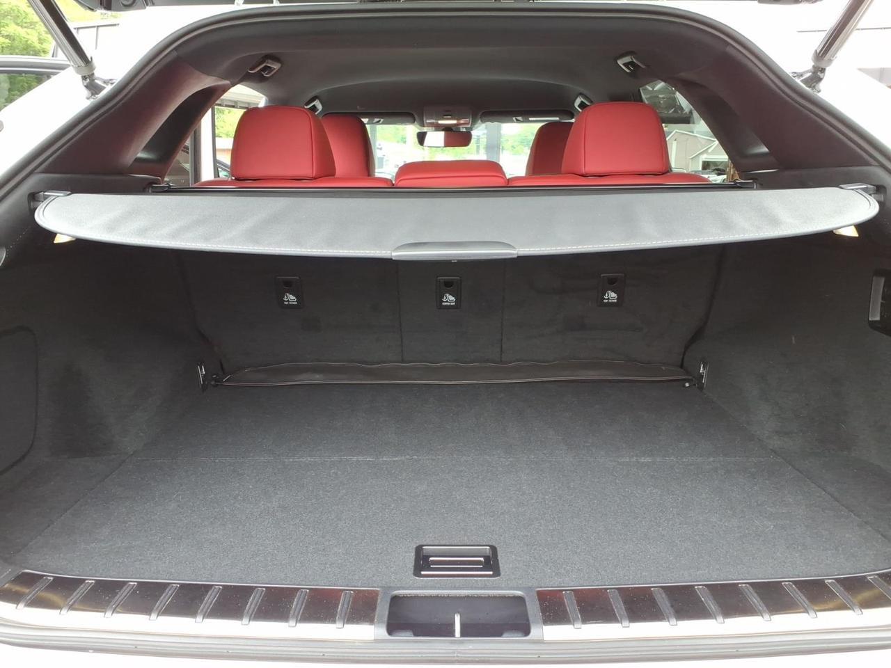 2020 Lexus RX 350 F SPORT Roanoke VA