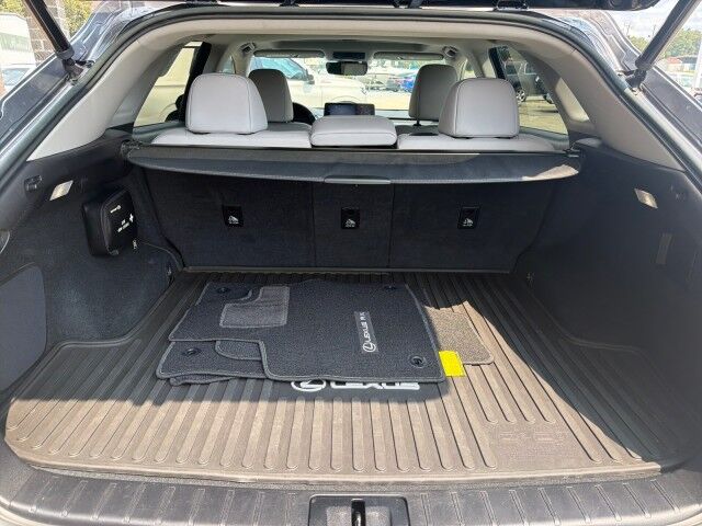 2020 Lexus RX 350 Lafayette LA